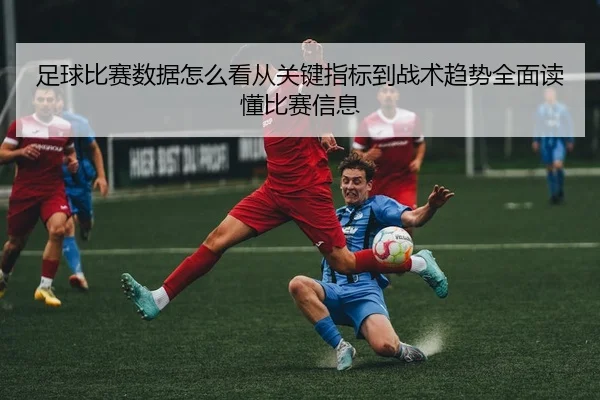 足球比赛数据怎么看从关键指标到战术趋势全面读懂比赛信息