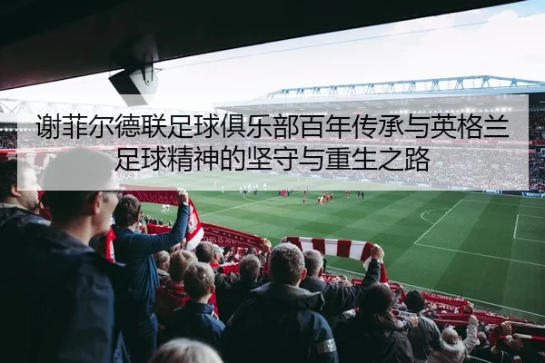 谢菲尔德联足球俱乐部百年传承与英格兰足球精神的坚守与重生之路